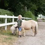 Hof Maiholm - Kaelberstall 公寓 Medelby