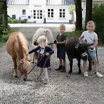 Hof Maiholm - Kaelberstall *