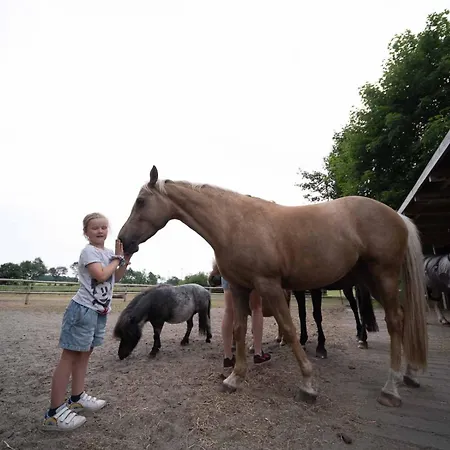 Hof Maiholm - Sattelkammer
