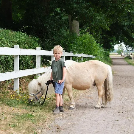 Hof Maiholm - Sattelkammer Lejlighed *