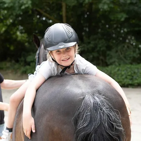 Hof Maiholm - Sattelkammer Medelby