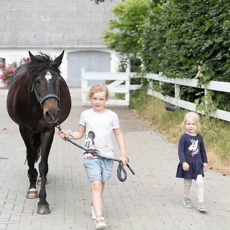 Lejlighed Hof Maiholm - Sattelkammer *