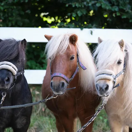 Hof Maiholm - Sattelkammer *