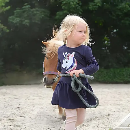 Hof Maiholm - Sattelkammer