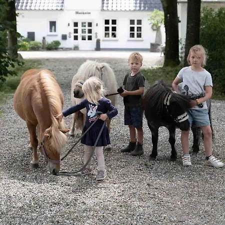 Lejlighed Hof Maiholm - Sattelkammer Medelby