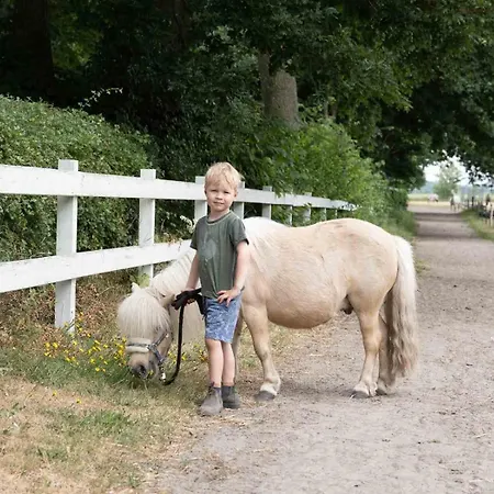 Hof Maiholm - Sattelkammer Medelby