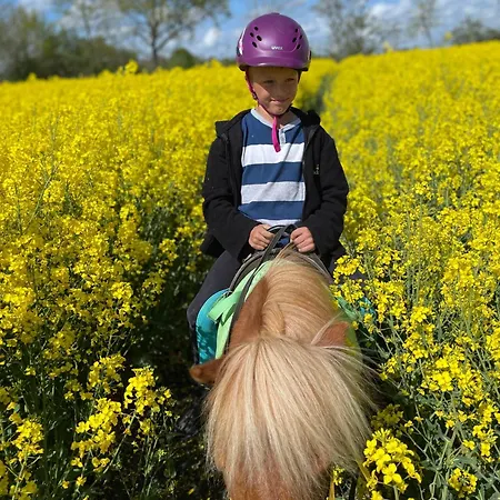 Hof Maiholm - Sattelkammer