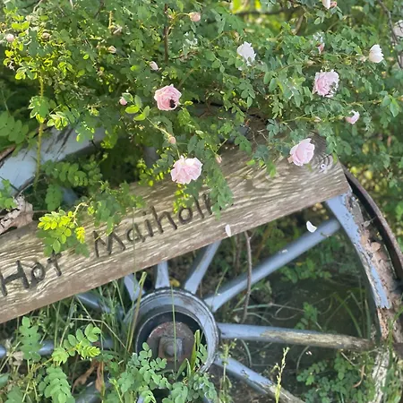 Hof Maiholm - Sattelkammer Lägenhet Medelby