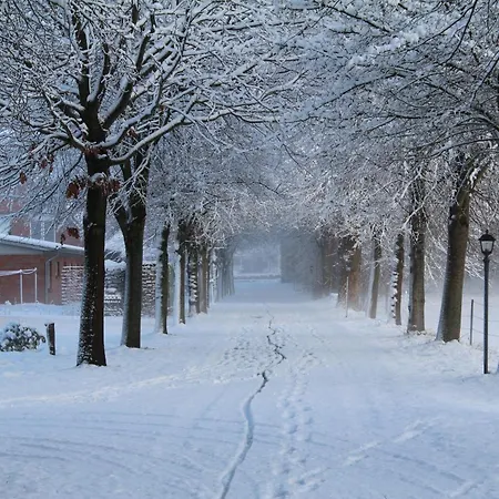 Hof Maiholm - Sattelkammer Lejlighed Medelby
