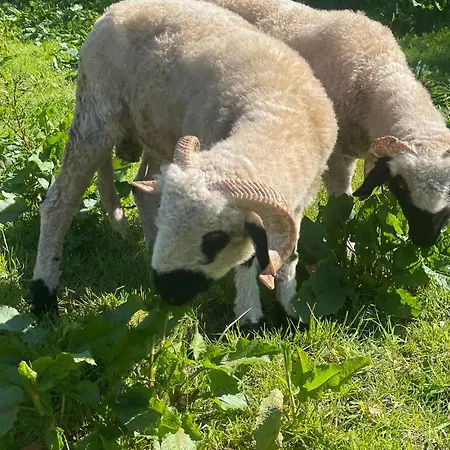Hof Maiholm - Sattelkammer