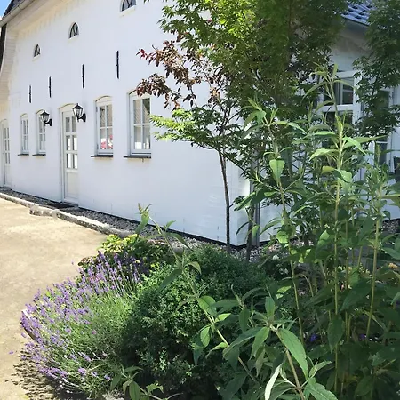 公寓 Hof Maiholm - Kaelberstall *