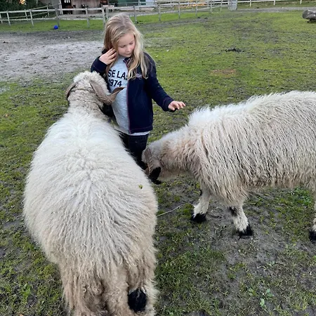 Hof Maiholm - Sattelkammer *