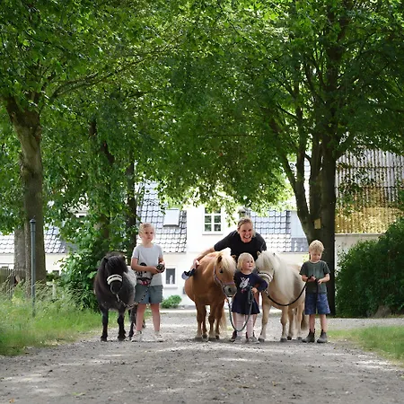 Hof Maiholm - Kaelberstall