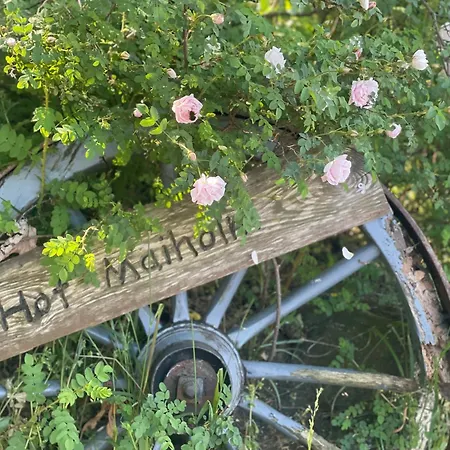 公寓 Hof Maiholm - Kaelberstall Medelby